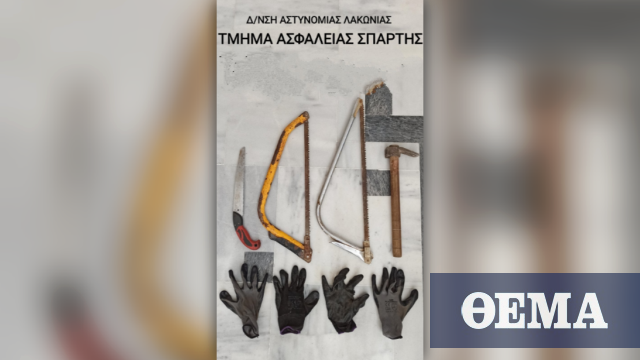 Σπάρτη: Έκλεβαν αυτοκίνητα και διέρρηξαν αντλιοστάσιο