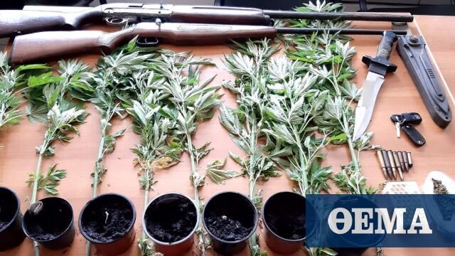 Χασισοκαλλιεργητής  είχε όπλα και σπαθί στα Ανώγεια